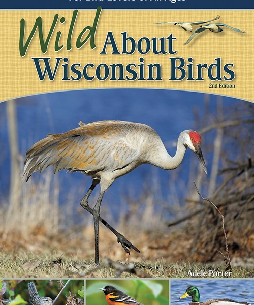 Wild About Wisconsin Birds
